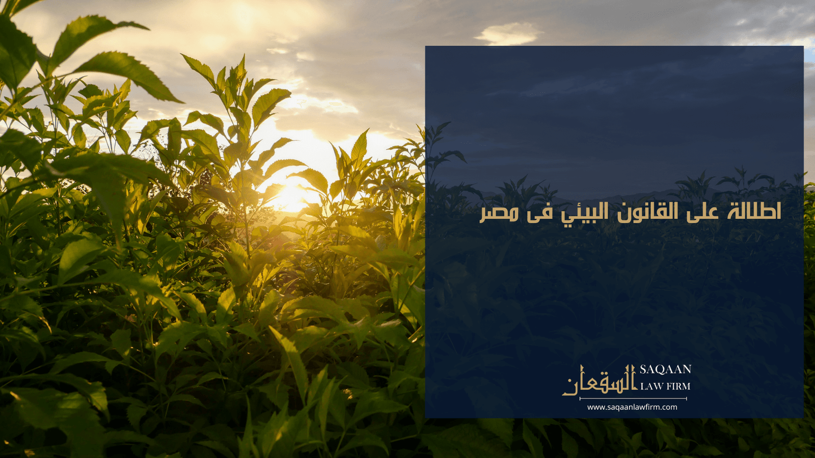 اطلالة على القانون البيئي في مصر