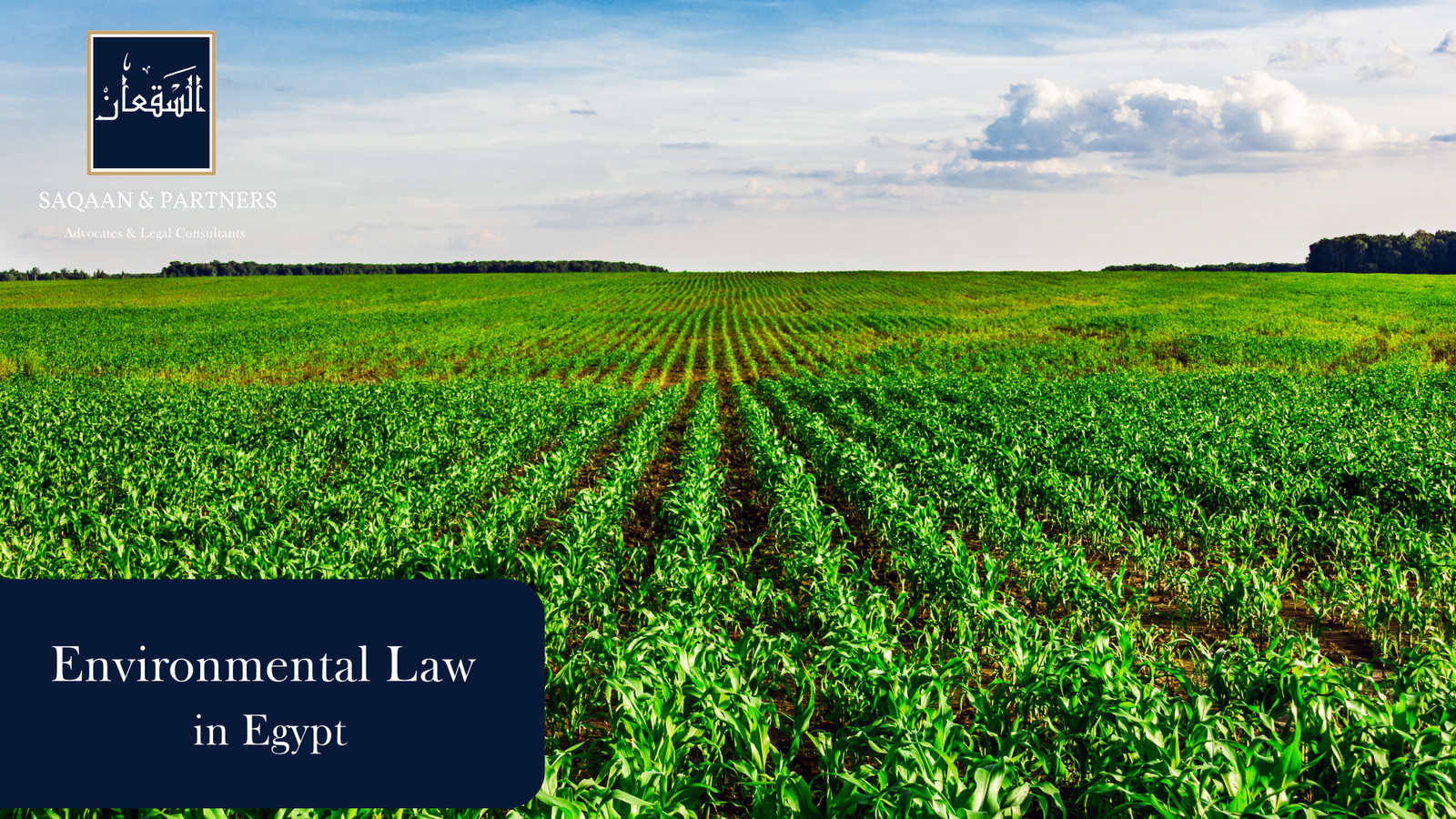 An Overview of Environmental Law in Egypt